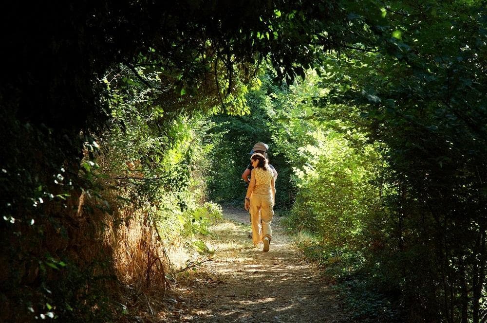 anento_-_sendero_aguallueve